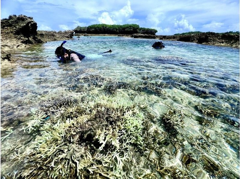 【沖縄・久米島】サンゴの森探検&シュノーケリング　陸からも水中からもサンゴを超至近距離で観察できる新感覚の探検ツアー　［現地集合プラン］の紹介画像