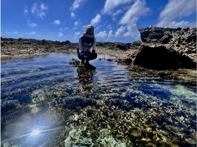 【沖縄・久米島】サンゴの森探検&シュノーケリング　陸からも水中からもサンゴを超至近距離で観察できる新感覚の探検ツアー　［現地集合プラン］の紹介画像