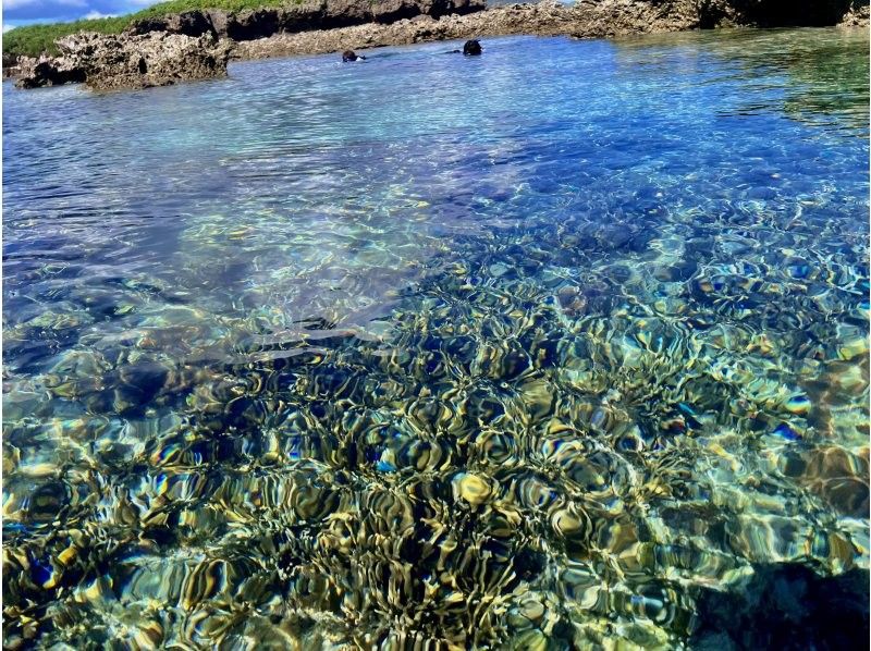 【沖縄・久米島】サンゴの森探検&シュノーケリング　陸からも水中からもサンゴを超至近距離で観察できる新感覚の探検ツアー　［現地集合プラン］の紹介画像