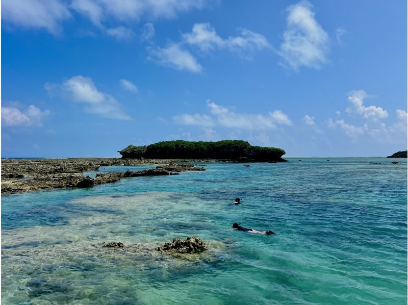 【沖縄・久米島】サンゴの森探検!! シュノーケリング&磯探検でサンゴの海を至近距離で体感　［現地集合プラン］の紹介画像