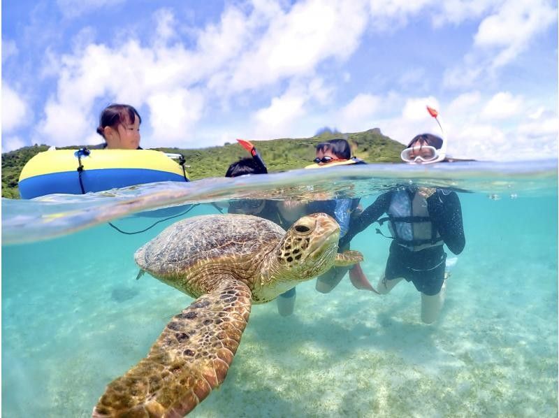 【宮古島・ドローン撮影付き】幻のユニの浜＆ウミガメと泳ぐ感動体験✨ 遭遇率100%継続中！1歳から参加OK！の紹介画像