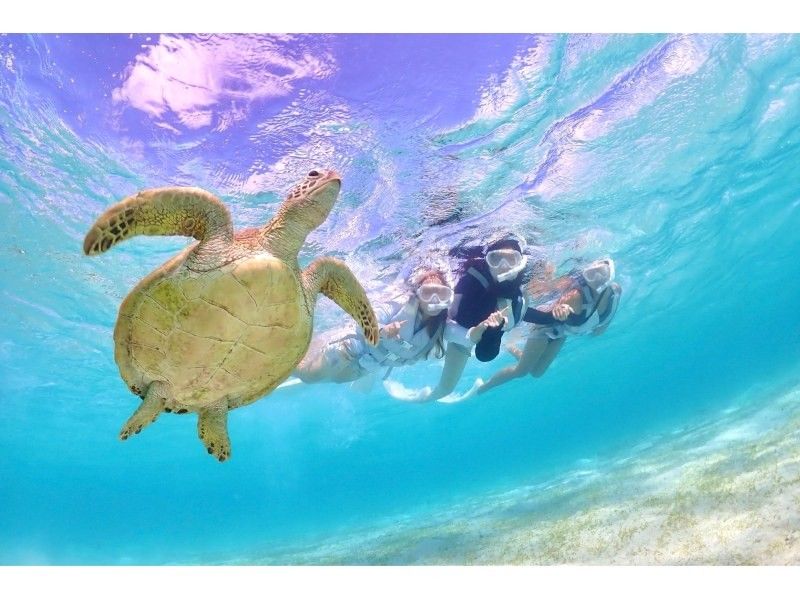 【宮古島・ドローン撮影付き】幻のユニの浜＆ウミガメと泳ぐ感動体験✨ 遭遇率100%継続中！1歳から参加OK！の紹介画像