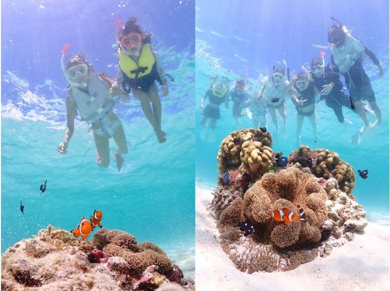 【宮古島・ドローン撮影付き】幻のユニの浜＆ウミガメと泳ぐ感動体験✨ 遭遇率100%継続中！1歳から参加OK！の紹介画像