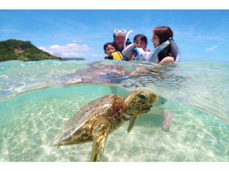 【宮古島・ドローン撮影付き】幻のユニの浜＆ウミガメと泳ぐ感動体験✨ 遭遇率100%継続中！1歳から参加OK！の紹介画像