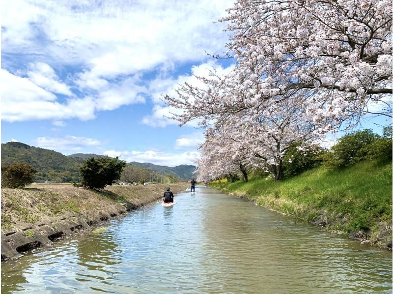 【滋賀・近江八幡】☆琵琶湖八景☆の一つ安土八幡の水郷SUPめぐり　水郷SUPクルーズ！!迷路のようなワクワク感が最高！!　1時間コースの紹介画像