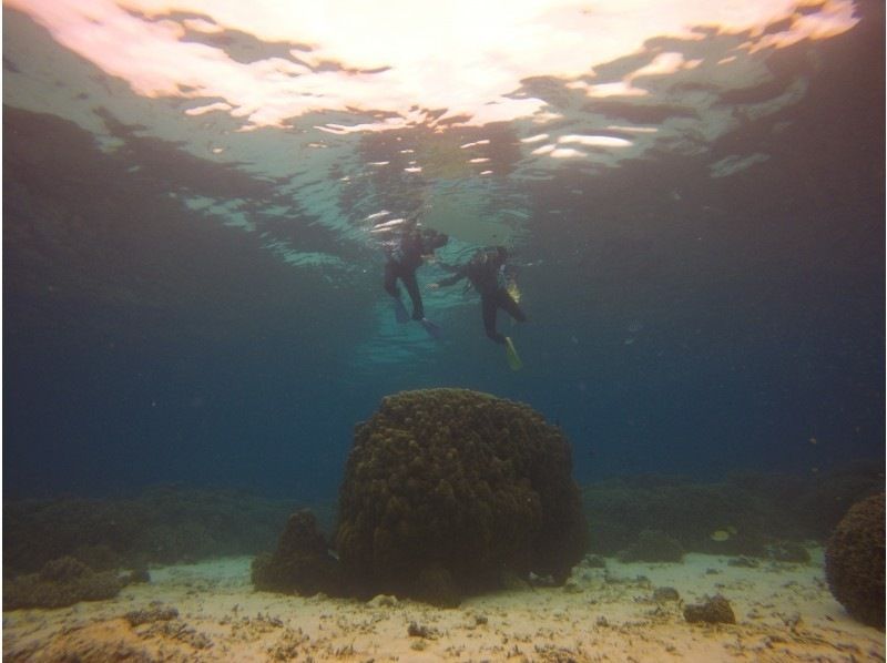 [Departing from Motobu, Okinawa] Autumn/Winter only! Boat snorkeling and tropical fish watching around Sesoko Island near the Churaumi Aquarium, including winter wetsuitsの紹介画像