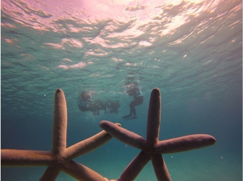 [Departing from Motobu, Okinawa] Autumn/Winter only! Boat snorkeling and tropical fish watching around Sesoko Island near the Churaumi Aquarium, including winter wetsuitsの紹介画像