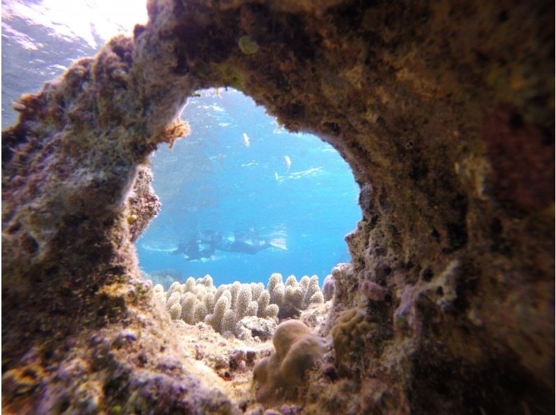 [Departing from Motobu, Okinawa] Autumn/Winter only! Boat snorkeling and tropical fish watching around Sesoko Island near the Churaumi Aquarium, including winter wetsuitsの紹介画像