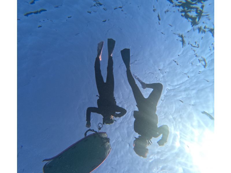 [Departing from Motobu, Okinawa] Autumn/Winter only! Boat snorkeling and tropical fish watching around Sesoko Island near the Churaumi Aquarium, including winter wetsuitsの紹介画像