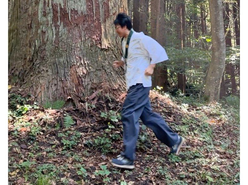 【秋田・能代】山歩き仏教体験　山岳信仰を肌で感じる祈りの山を往復2時間かけてゆっくり参拝の紹介画像