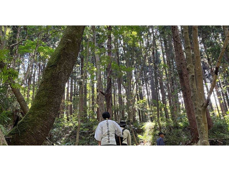 【秋田・能代】山歩き仏教体験　山岳信仰を肌で感じる祈りの山を往復2時間かけてゆっくり参拝の紹介画像