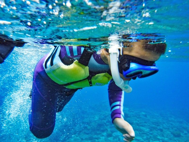 沖縄の事業者「COCONUTSCLUB」が実施するシュノーケリングツアーの様子