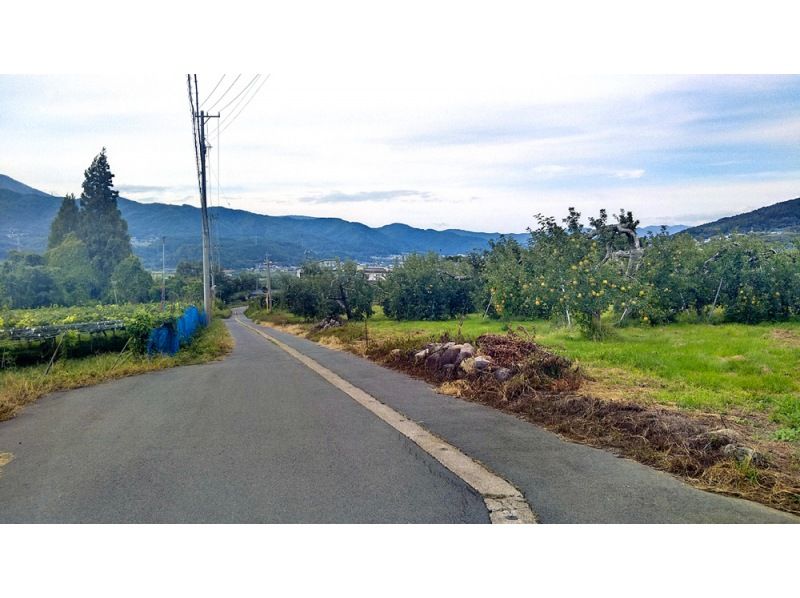 【長野・中野】中野「陣屋」から旧街道「谷街道」を辿り飯山まで。昼食付きで午後からゆっくり愉しむプライベートサイクリングの紹介画像