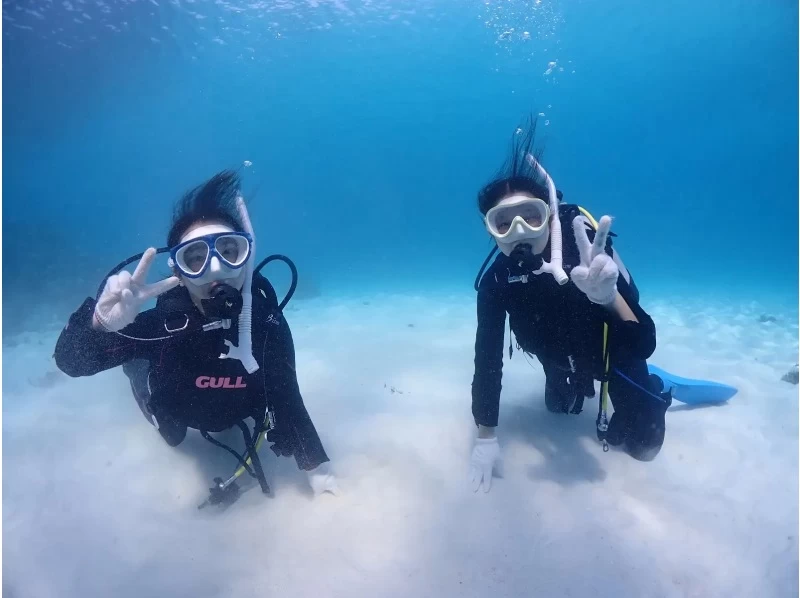 【沖縄・石垣島】1日1組限定！幻の島上陸付き半日午前体験ダイビング・10歳以上からご参加可能！初めての方も！の紹介画像