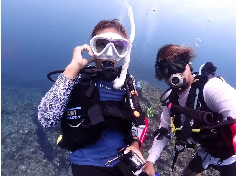 【沖縄・石垣島】1日1組限定！幻の島上陸付き半日午前体験ダイビング・10歳以上からご参加可能！初めての方も！の紹介画像