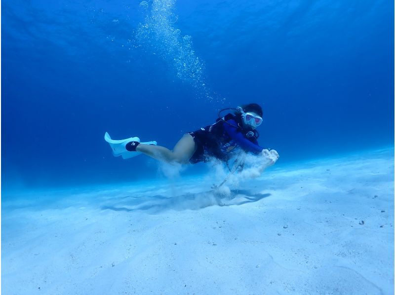 【沖縄・石垣島】1日コース水中写真に特化3ボートFUNダイビング・ウミガメ、マンタに会える海で遊び尽くす！の紹介画像
