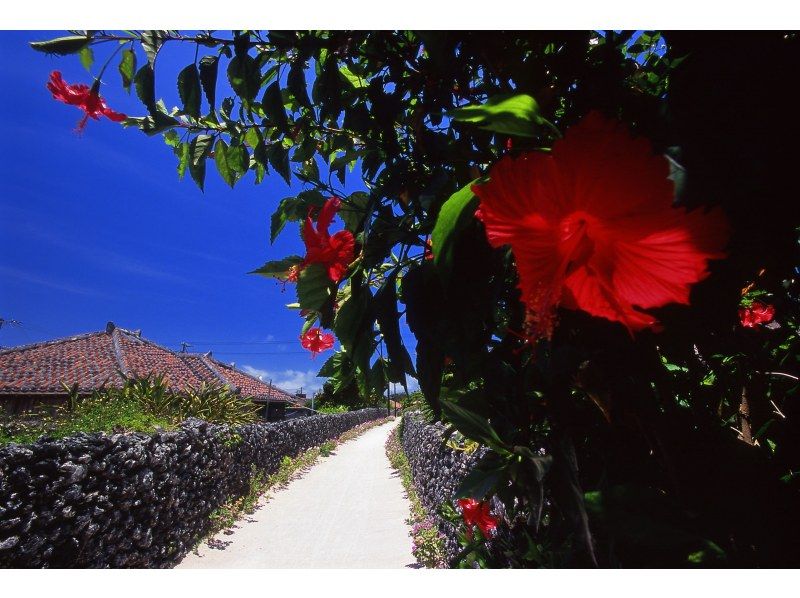 [Okinawa, Taketomi Island] Take a leisurely stroll with a local guide! "Walking around Taketomi Island Course" <TakeO>の紹介画像