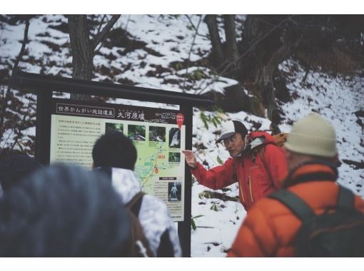 【長野県・八ヶ岳】厳冬期、自然の楽しみ方教えます!地元ガイドと行く氷瀑巡り 氷瀑巡り横谷渓谷スノーハイキング 【長野県・八ヶ岳】厳冬期、自然の楽しみ方教えます!地元ガイドと行く氷瀑巡り 氷瀑巡り横谷渓谷スノーハイキング