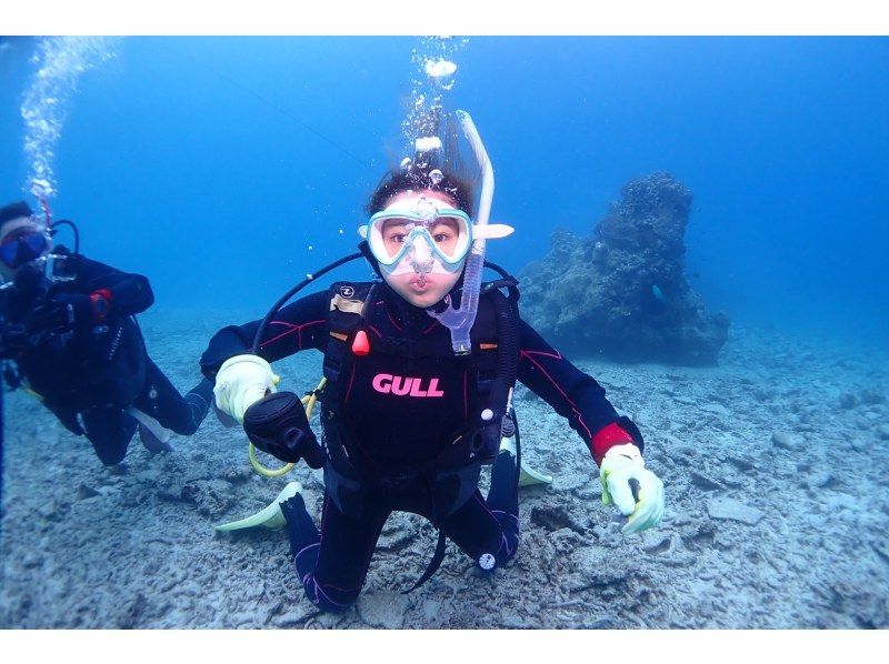 学生割引！OWライセンス講習２日間 in 石垣島【ウミガメ、マンタに会えるかも！】高画質の写真・動画無料プレゼントの紹介画像