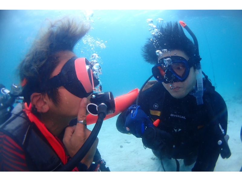 学生割引！OWライセンス講習２日間 in 石垣島【ウミガメ、マンタに会えるかも！】高画質の写真・動画無料プレゼントの紹介画像