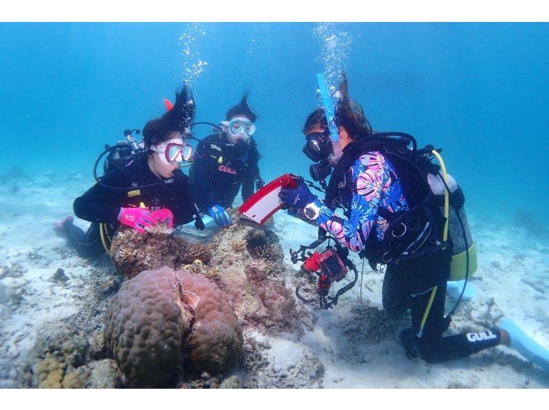 学生割引！OWライセンス講習２日間 in 石垣島【ウミガメ、マンタに会えるかも！】高画質の写真・動画無料プレゼントの紹介画像