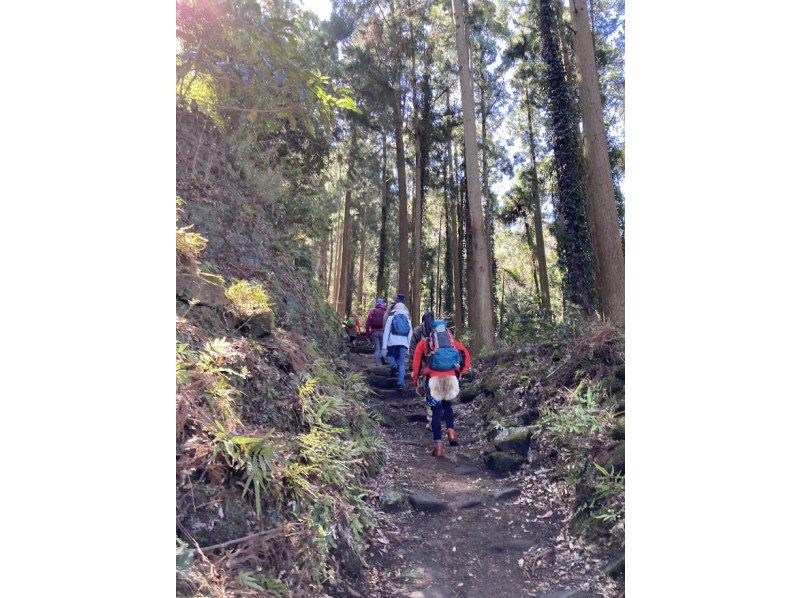 【Tokyo Bay・Mt. Nokogiri】The remains of a quarry are mysterious! <Private guide included> Copy of low mountain hiking tourの紹介画像