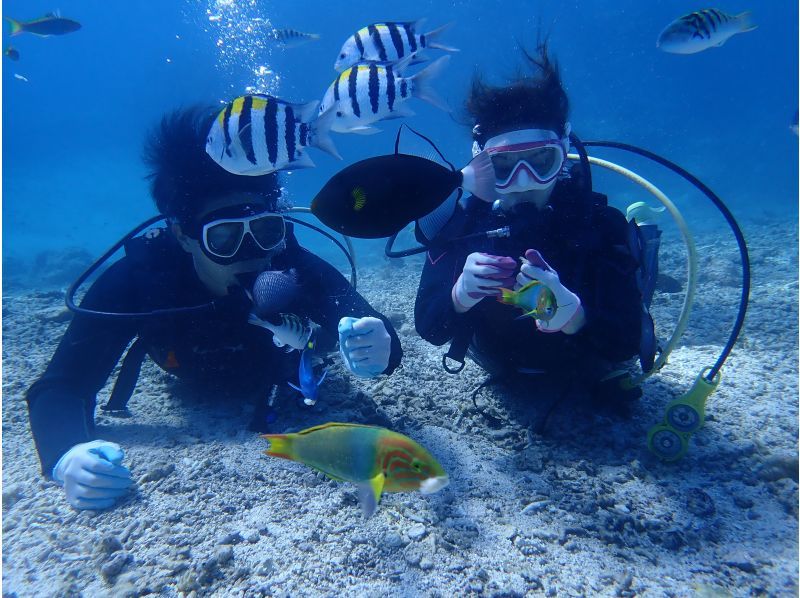 [Okinawa, Northern] Boat Experience Diving ~ 2 Dives (Minna Island / Sesoko Island / Sakimotobu Area)の紹介画像