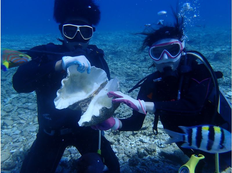 [Okinawa, Northern] Boat Experience Diving ~ 2 Dives (Minna Island / Sesoko Island / Sakimotobu Area)の紹介画像