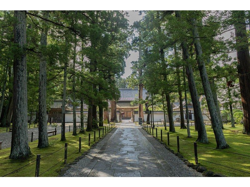 The Essence of Matsushima: Zen Meditation and Private Temple Tourの紹介画像