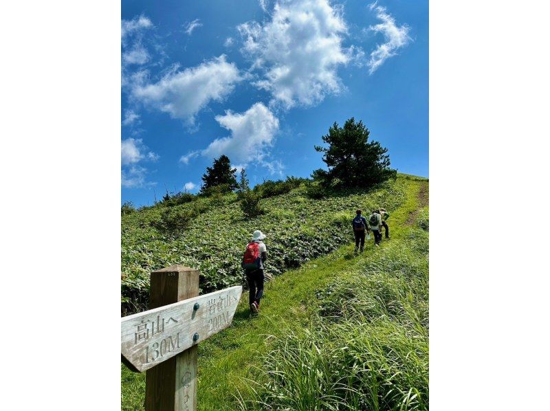 Spend a Day With a Monk: Hiking and Outdoor Matcha in Hiroshimaの紹介画像