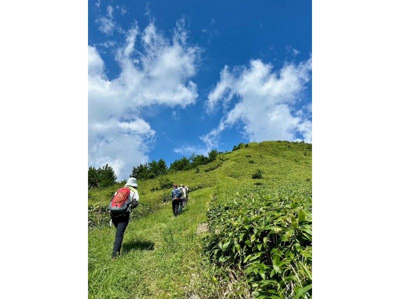 Spend a Day With a Monk: Hiking and Outdoor Matcha in Hiroshimaの紹介画像