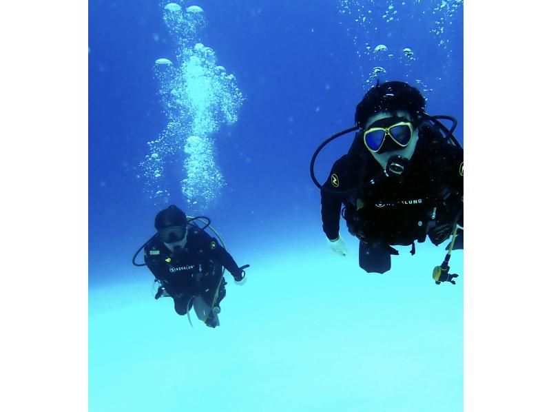 [Okinawa, Northern] Boat Fun Diving ~ 2 Dives (Minna Island / Sesoko Island / Sakimotobu Area)の紹介画像