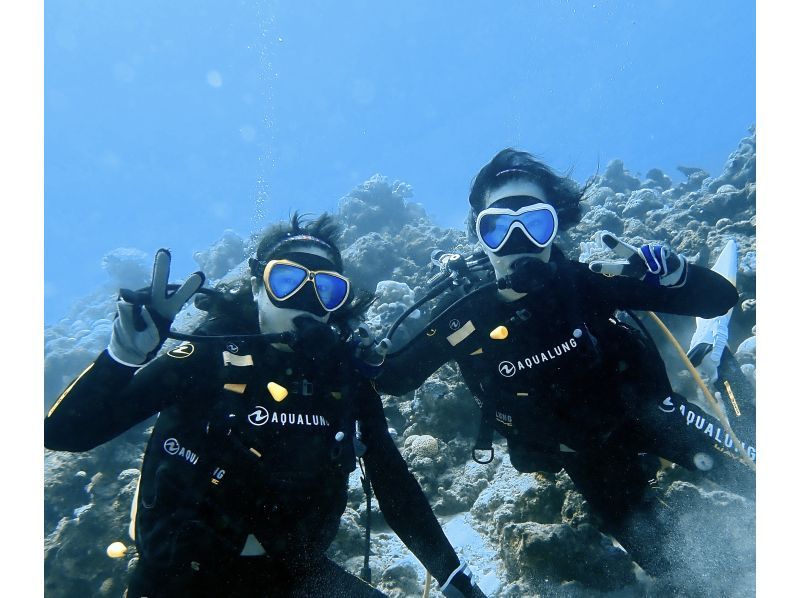 [Okinawa, Northern] Boat Fun Diving ~ 2 Dives (Minna Island / Sesoko Island / Sakimotobu Area)の紹介画像