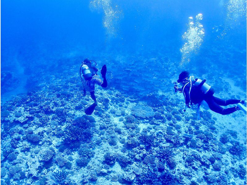 【沖縄・北部】 ボートファンダイビング〜2ダイブ (水納島／瀬底島／崎本部エリア）の紹介画像