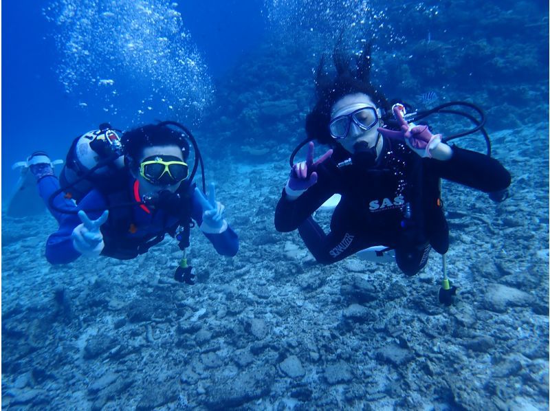 [Okinawa, Northern] Boat Fun Diving ~ 2 Dives (Minna Island / Sesoko Island / Sakimotobu Area)の紹介画像