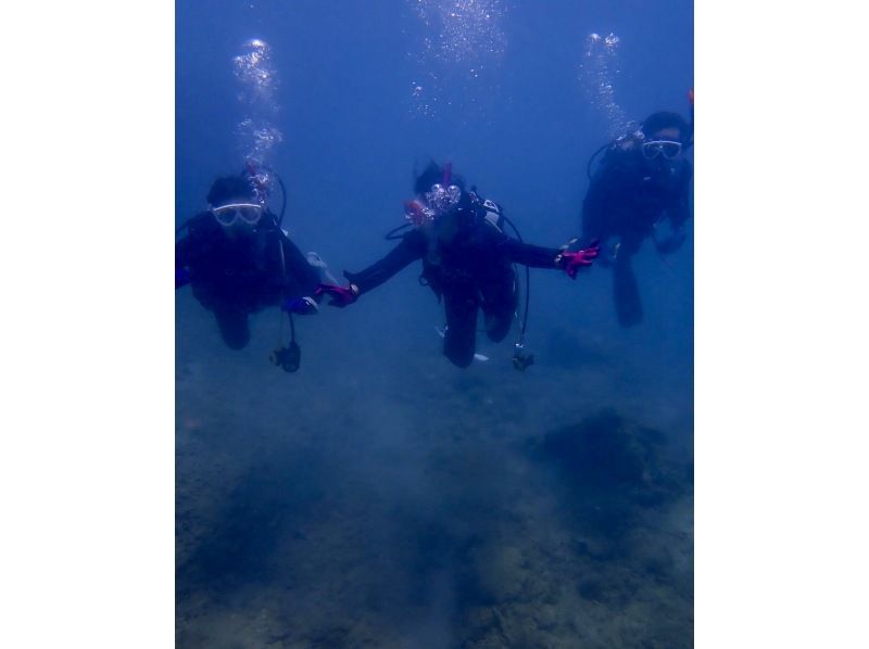 [Okinawa, Northern] Diving course (open water)の紹介画像