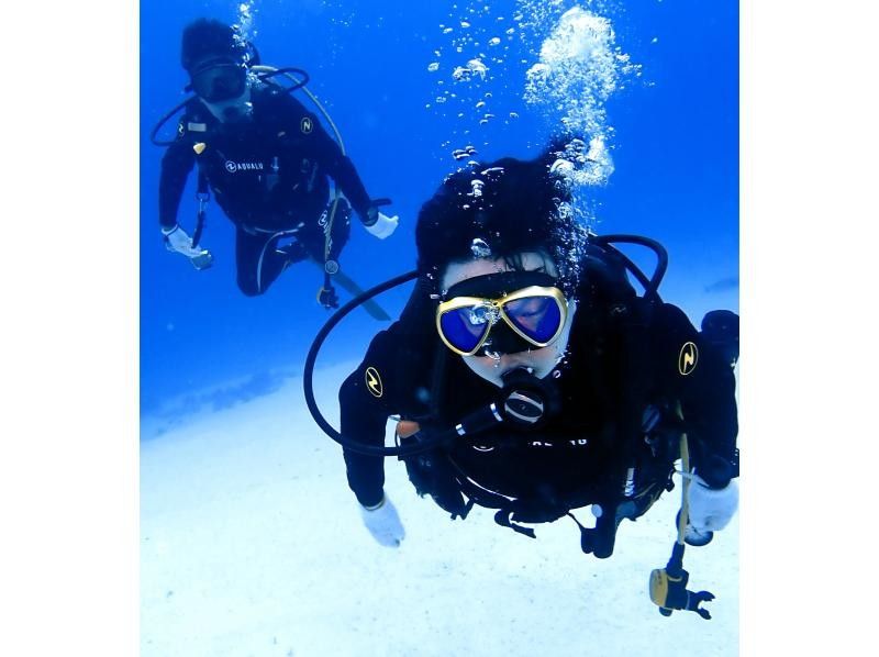 [Okinawa, Northern] Diving course (open water)の紹介画像