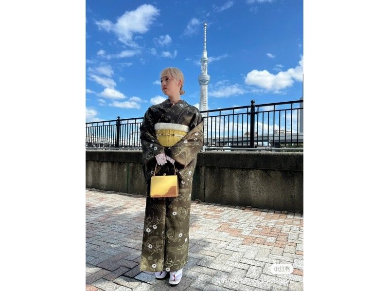 [Tokyo, Asakusa] Walking around the city in kimono experience planの紹介画像