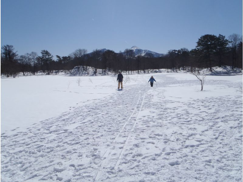 【福島県・裏磐梯高原】ネイチャースキー(クロスカントリースキー)初心者講習&プチツアーの紹介画像