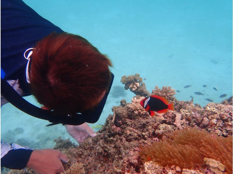 [Okinawa, Ishigaki Island] Phantom Island Snorkel + Wakeboard 1-day course (lunch included!)の紹介画像