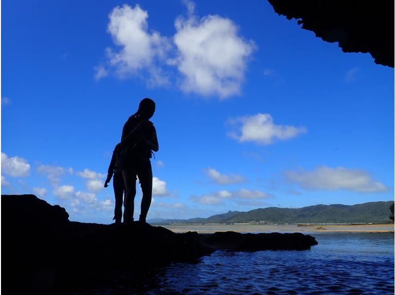 [Okinawa, Ishigaki Island] Blue Cave Sea Turtle Walking Tour + Wakeboarding 1-day course (lunch included!)の紹介画像