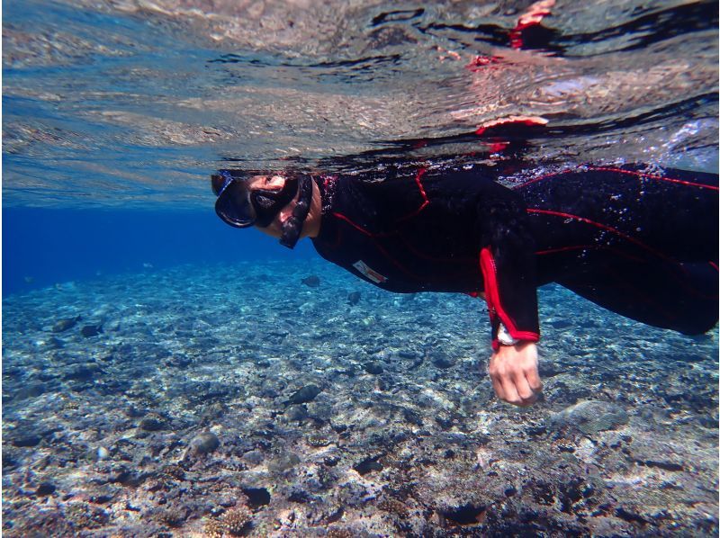 [Okinawa, Ishigaki Island] Blue Cave Sea Turtle Walking Tour + Wakeboarding 1-day course (lunch included!)の紹介画像