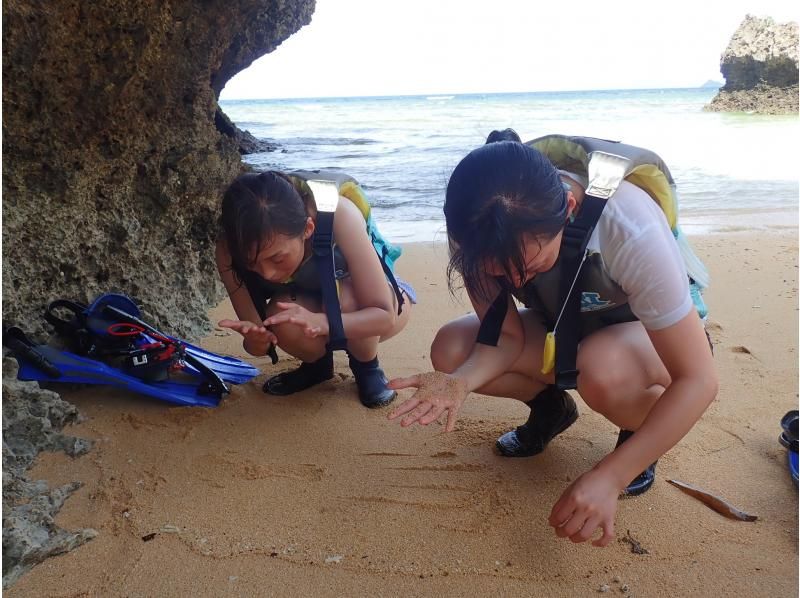 [Okinawa, Ishigaki Island] Blue Cave Sea Turtle Walking Tour + Wakeboarding 1-day course (lunch included!)の紹介画像