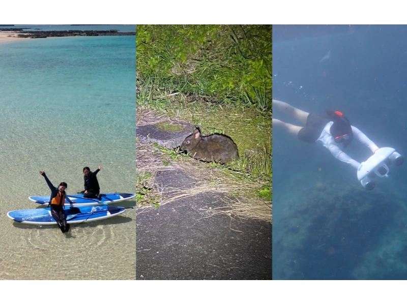 【鹿児島・徳之島】「世界遺産の島 徳之島」キャンプ&アクティビティ　1泊2日の宿泊型自然体験プログラムの紹介画像