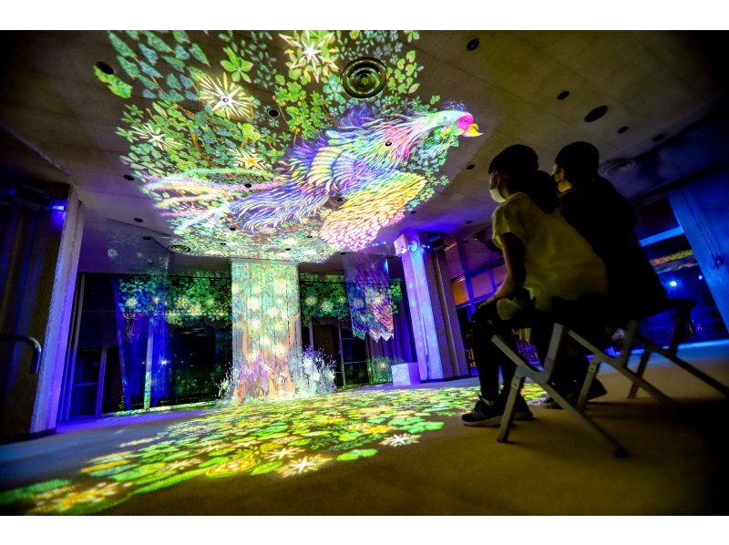 [Minakami, Gunma] Experience a night walk with fantastic light art and musicの紹介画像