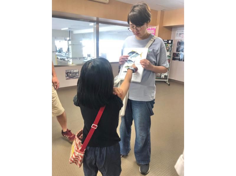 【和歌山・那智勝浦】「生まぐろ日本一の町！」生まぐろ競り市場プライベートガイドツアーの紹介画像