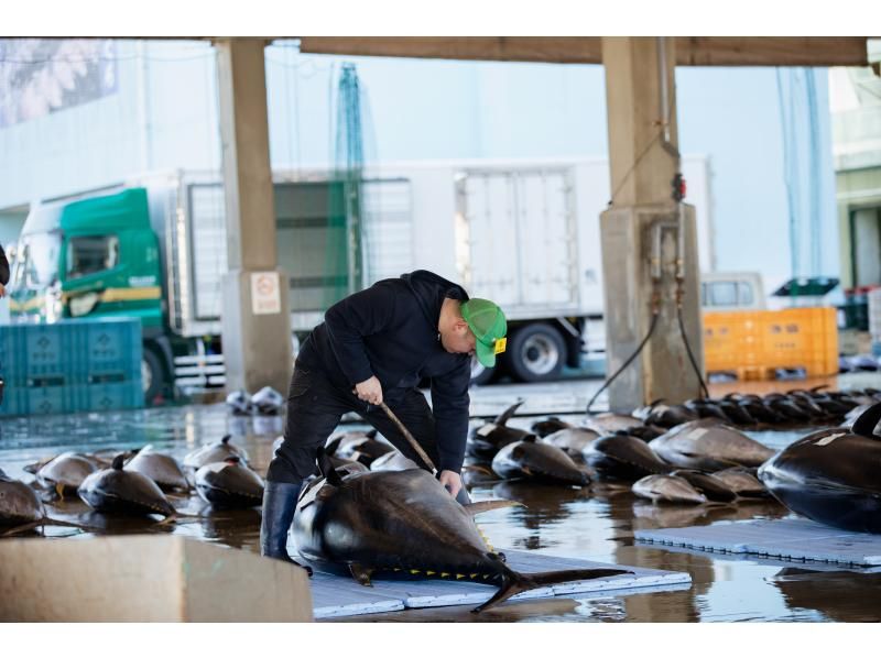【和歌山・那智勝浦】「生まぐろ日本一の町！」生まぐろ競り市場プライベートガイドツアーの紹介画像
