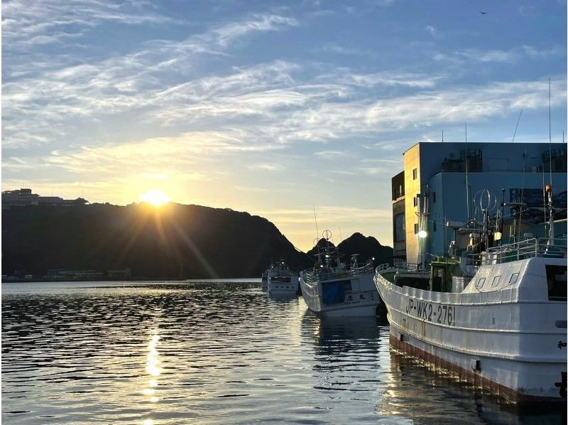 【和歌山・那智勝浦】「生まぐろ日本一の町！」生まぐろ競り市場プライベートガイドツアーの紹介画像