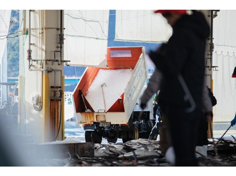 【和歌山・那智勝浦】「生まぐろ日本一の町！」生まぐろ競り市場プライベートガイドツアーの紹介画像