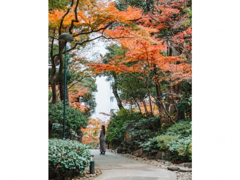 六義園紅葉特別ライトアップ＆ゆったり紅葉めぐりバスツアー～グランドプリンスホテル高輪にて松花堂御膳のご昼食～【029029‐926】の紹介画像